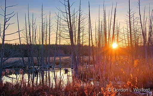 Marsh Sunrise_10768.jpg - Photographed along the Rideau Trail at Ottawa, Ontario - the capital of Canada.